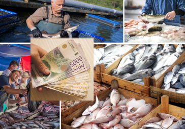 SKOČILE CENE RIBE U veleprodaji veće i do 20 odsto - Pastrmka preko 600 dinara